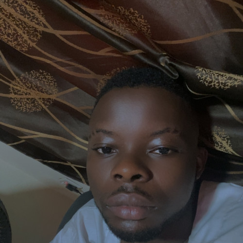 Aremu A.