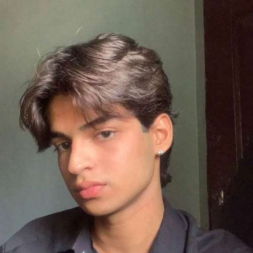 talha N.
