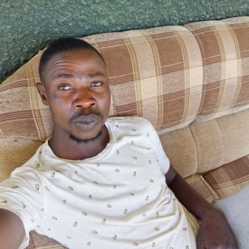 Peter O. profile photo