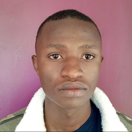 sam m. profile photo