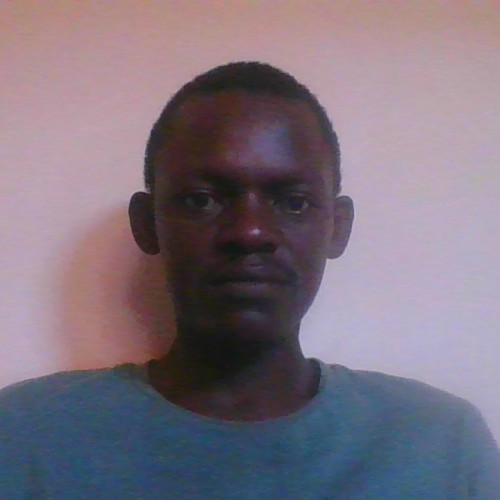 Roy M. profile photo