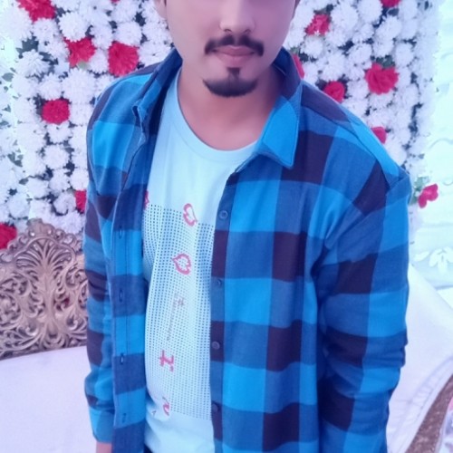 Talha Z.
