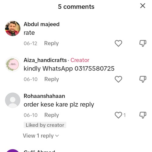 Saqib  Z.