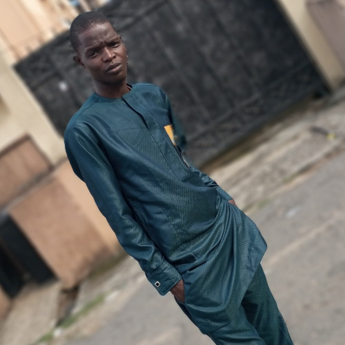Ajenifuja S. profile photo