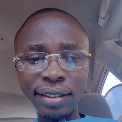 Olaoluwa  A. profile photo