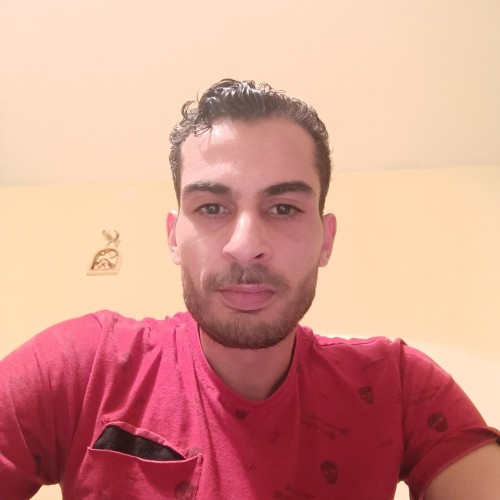 Rizk M.