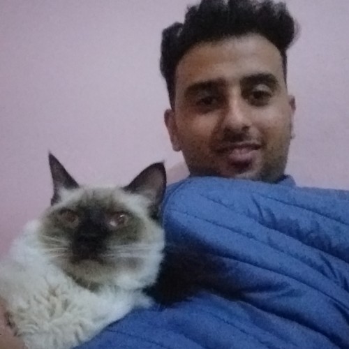 Ilias  I. profile photo