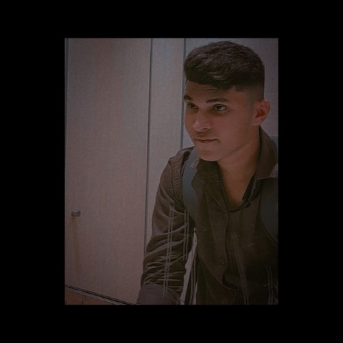 Vedant  H.