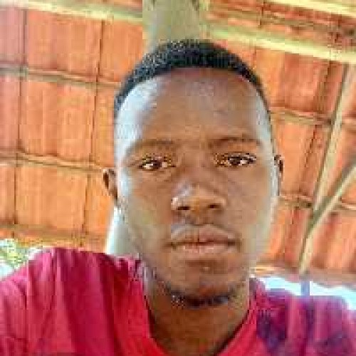 Albertisio N. profile photo