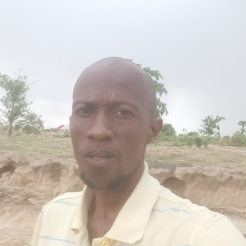 Steven N. profile photo