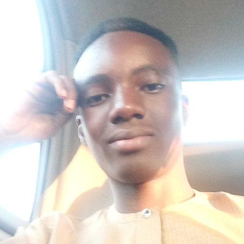 Kingsley N. profile photo