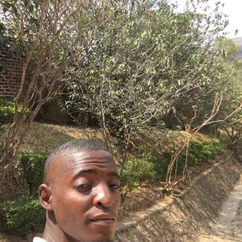 Bonface B. profile photo