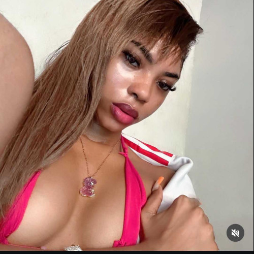 Jasmine s.