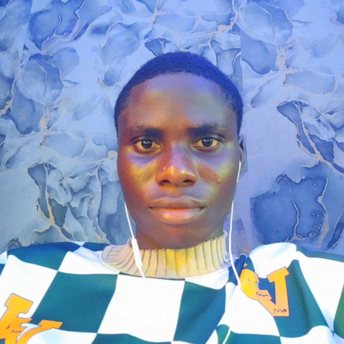 OLUWATOSIN O. profile photo