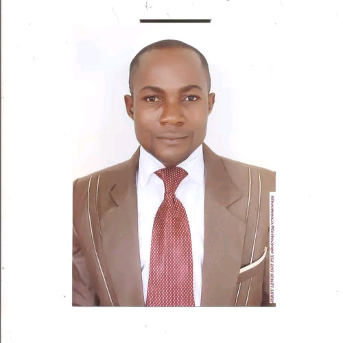 Nwibo  S. profile photo