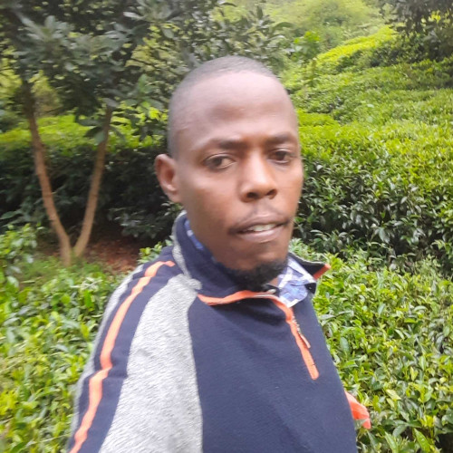 Jotham M. profile photo
