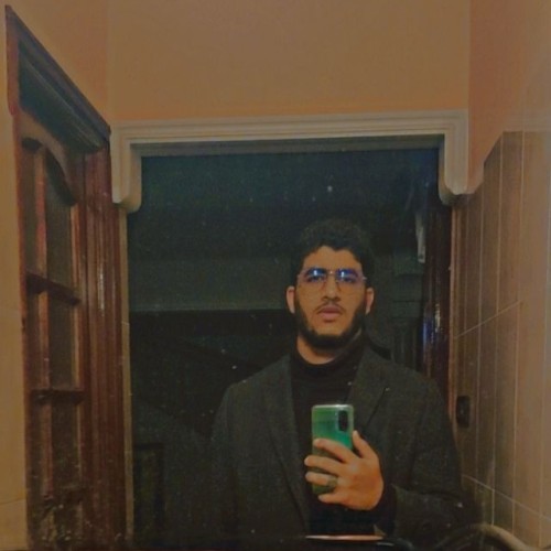 Mehdi A. profile photo