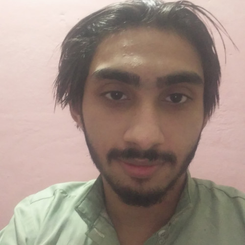 Talha S.