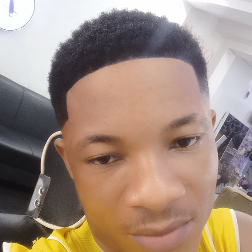 Daniel N. profile photo