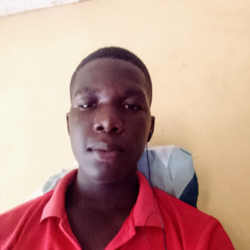 Bankole O. profile photo