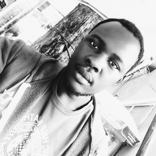Gitta  A. profile photo
