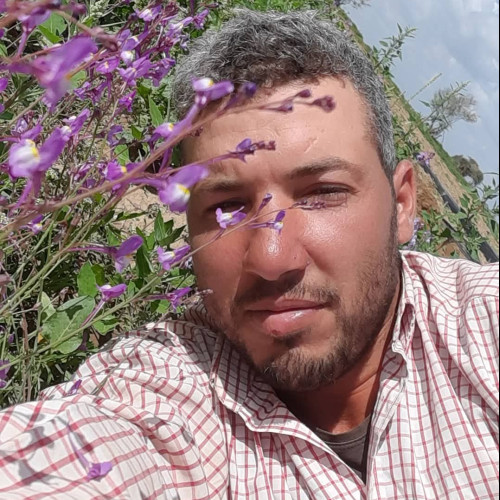 Abdelaziz  N. profile photo