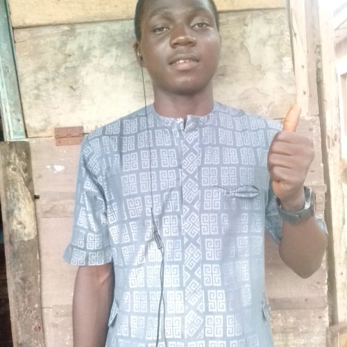 Adeshina U.