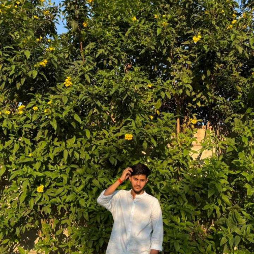 shishant S. profile photo