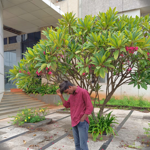 Yashwanth s.