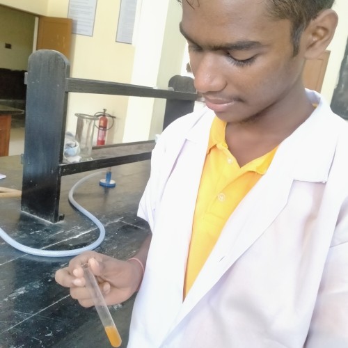 Bishal B.