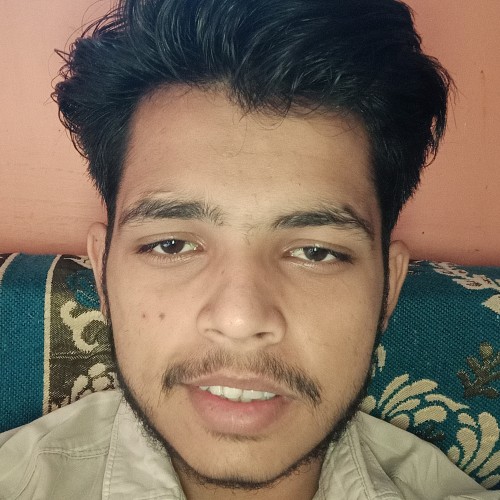 Raj S.