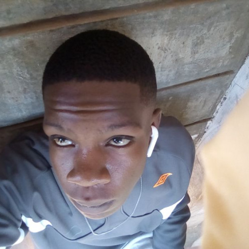 Allady  O. profile photo