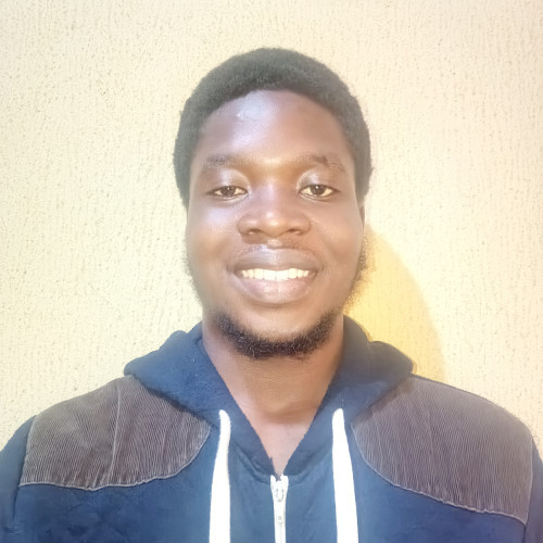 Ayobami  O. profile photo