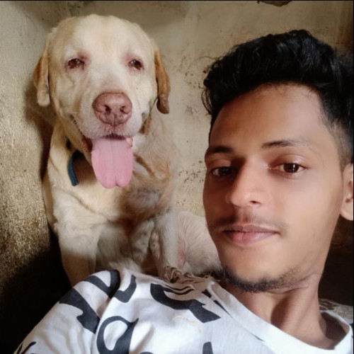 Rajesh j. profile photo