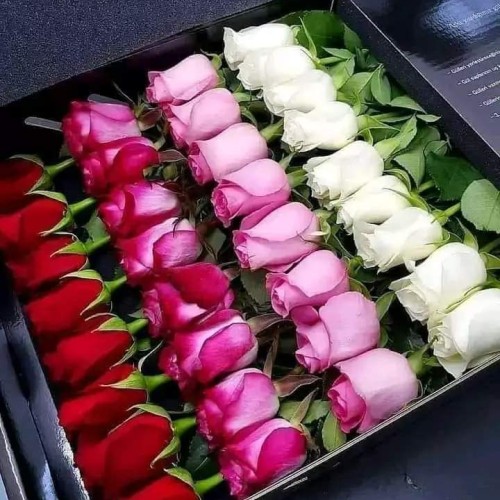 Nouno A. profile photo