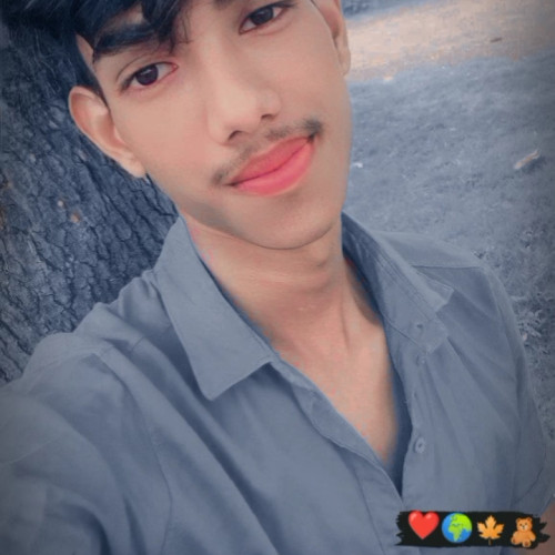 Avi P. profile photo