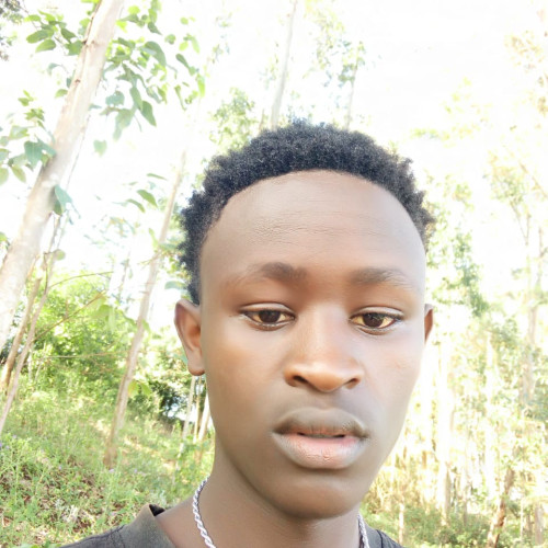 Kennedy K. profile photo