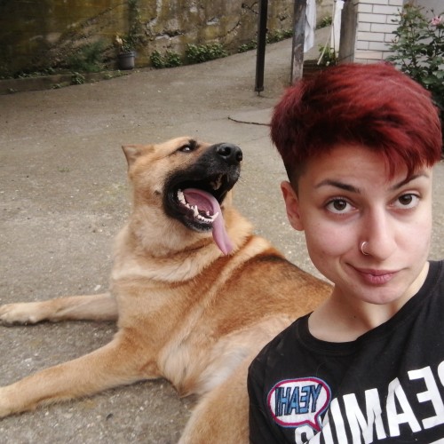 Dorsi I. profile photo