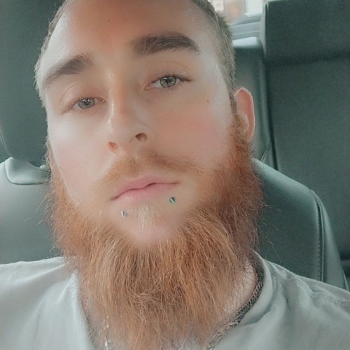 Daniel  S.