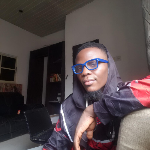 Shola  G. profile photo