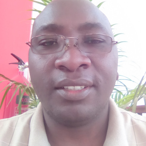 henry M. profile photo