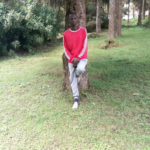 Mohamed  N. profile photo