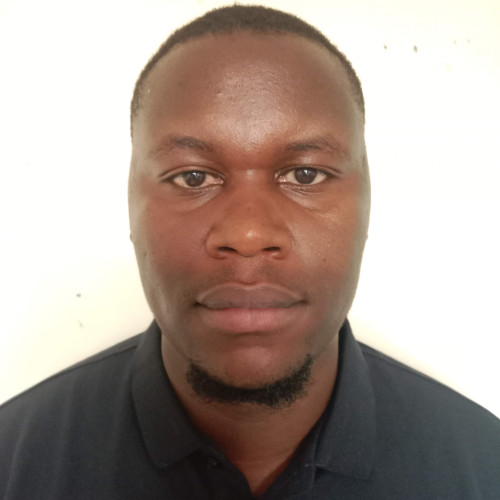 Dennis K. profile photo