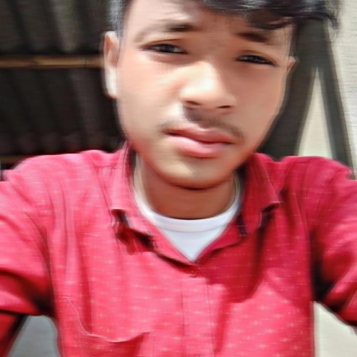 Pinku R.