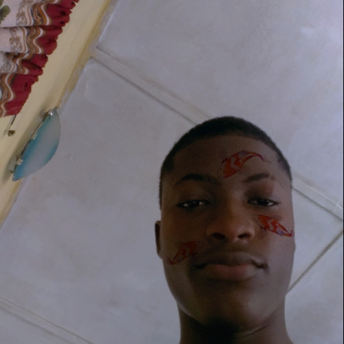 Fashina E. profile photo
