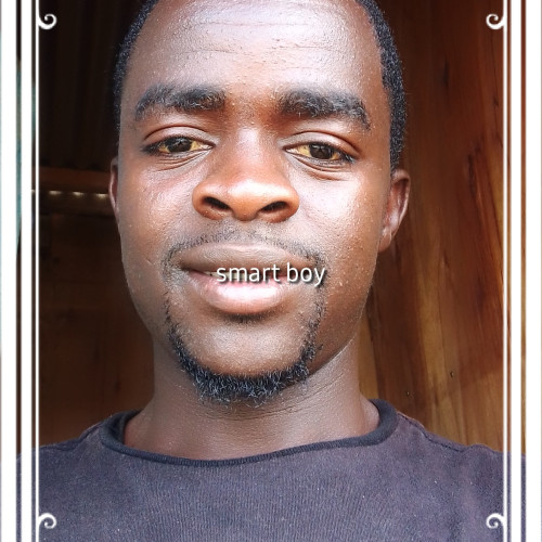 Amos M. profile photo