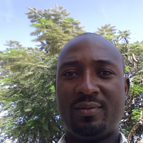 Yemi A. profile photo