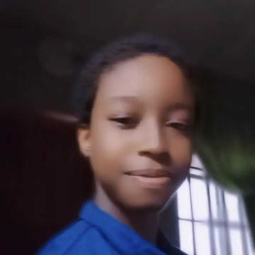 Eniola N. profile photo