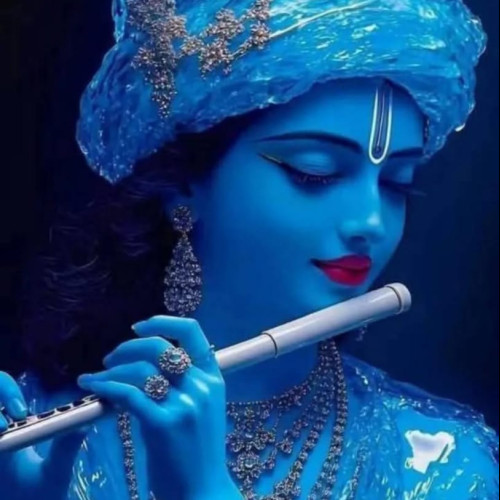 Prabhat S. profile photo