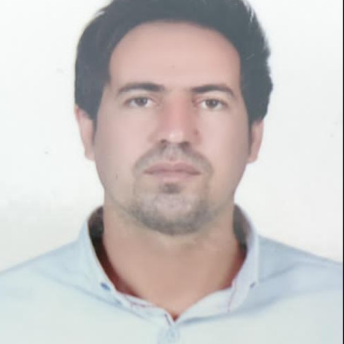 morteza r. profile photo